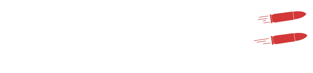 Berno DNS Logo